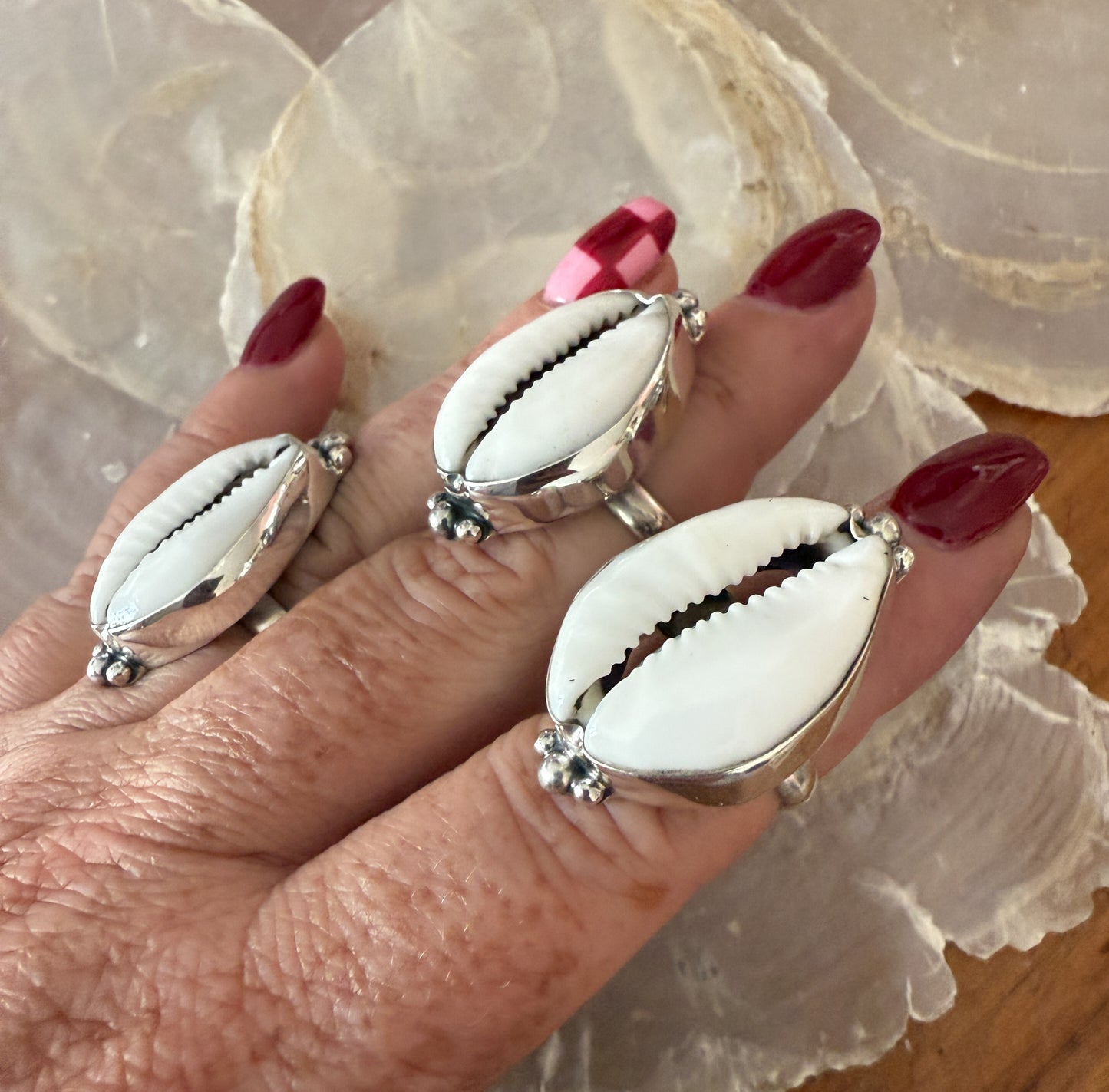 Ring cowrie schelp wit