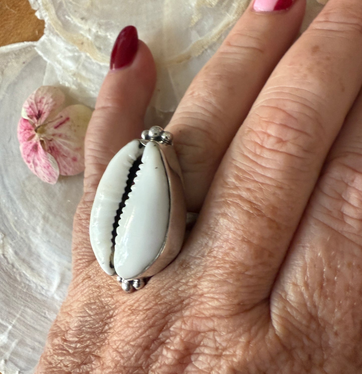Ring cowrie schelp wit