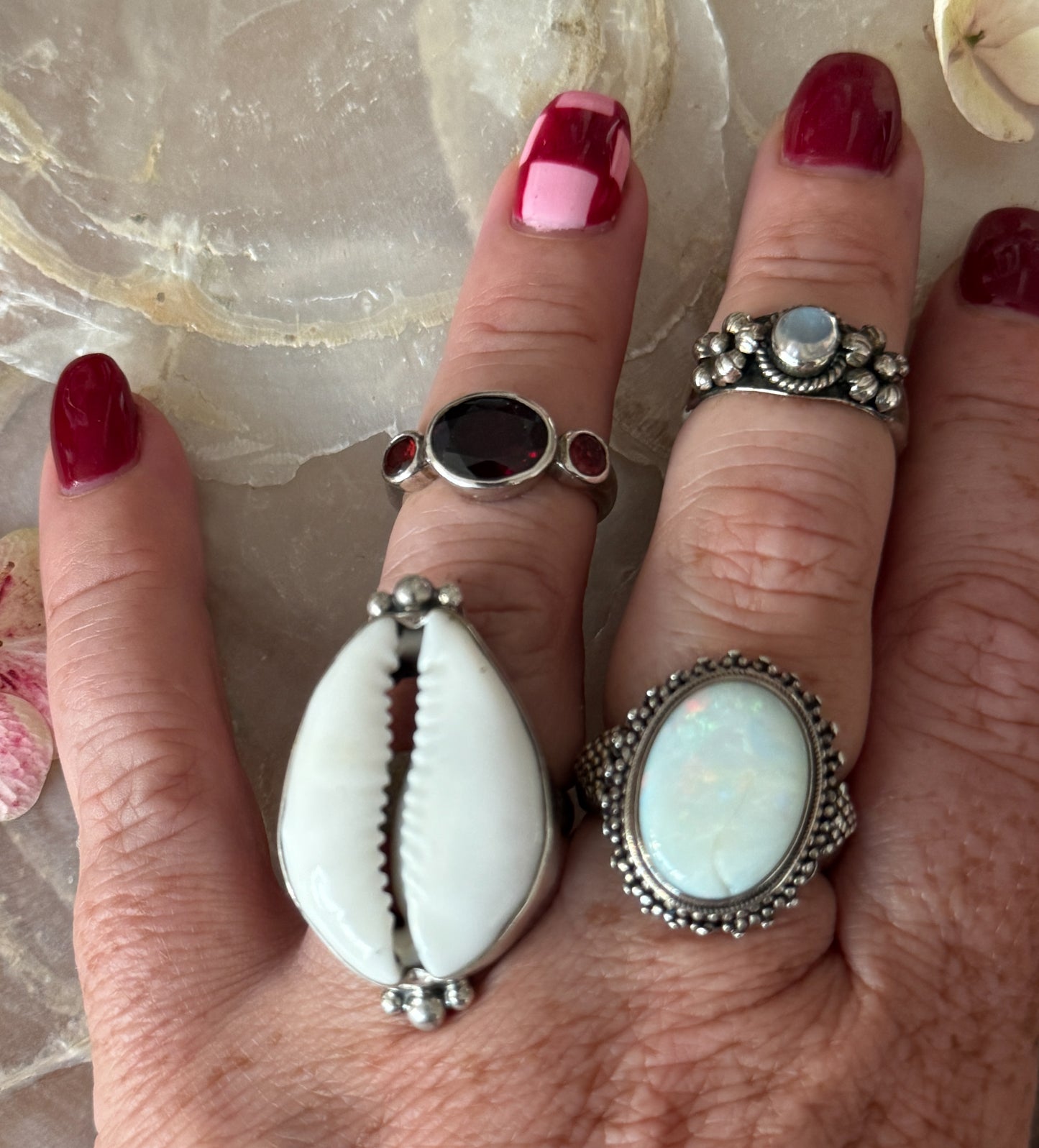 Ring cowrie schelp wit