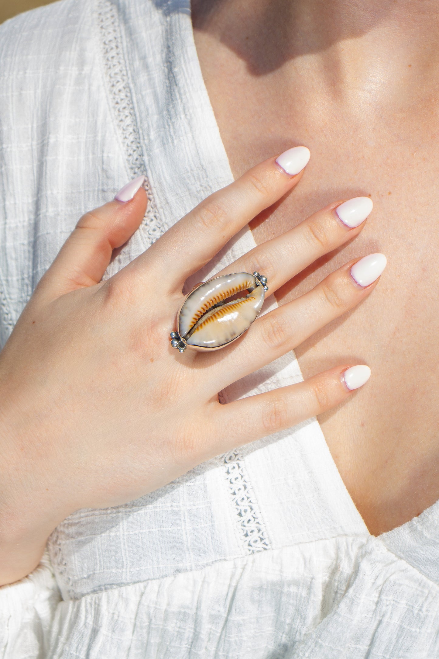 Ring cowrie shell
