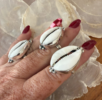 Ring cowrie schelp wit