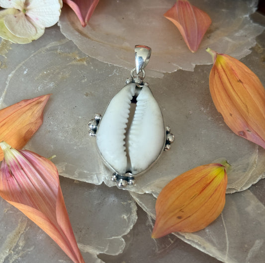 Schelp hanger L