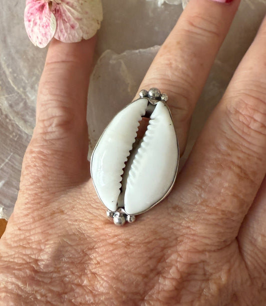 Ring cowrie schelp wit