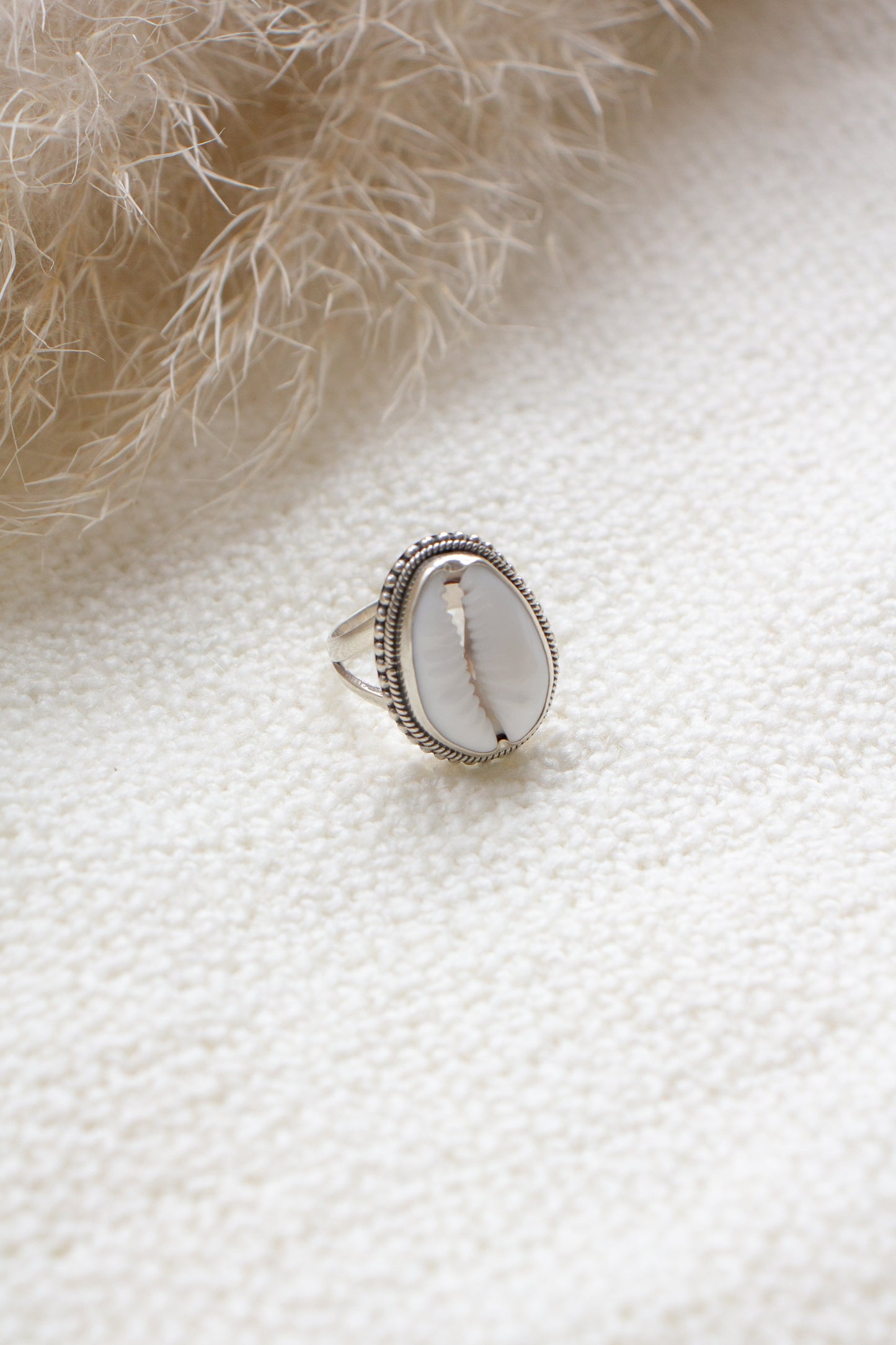 Ring Cowrie Schelp Amara