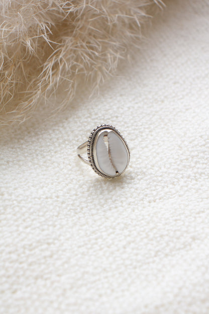 Ring Cowrie Schelp Amara