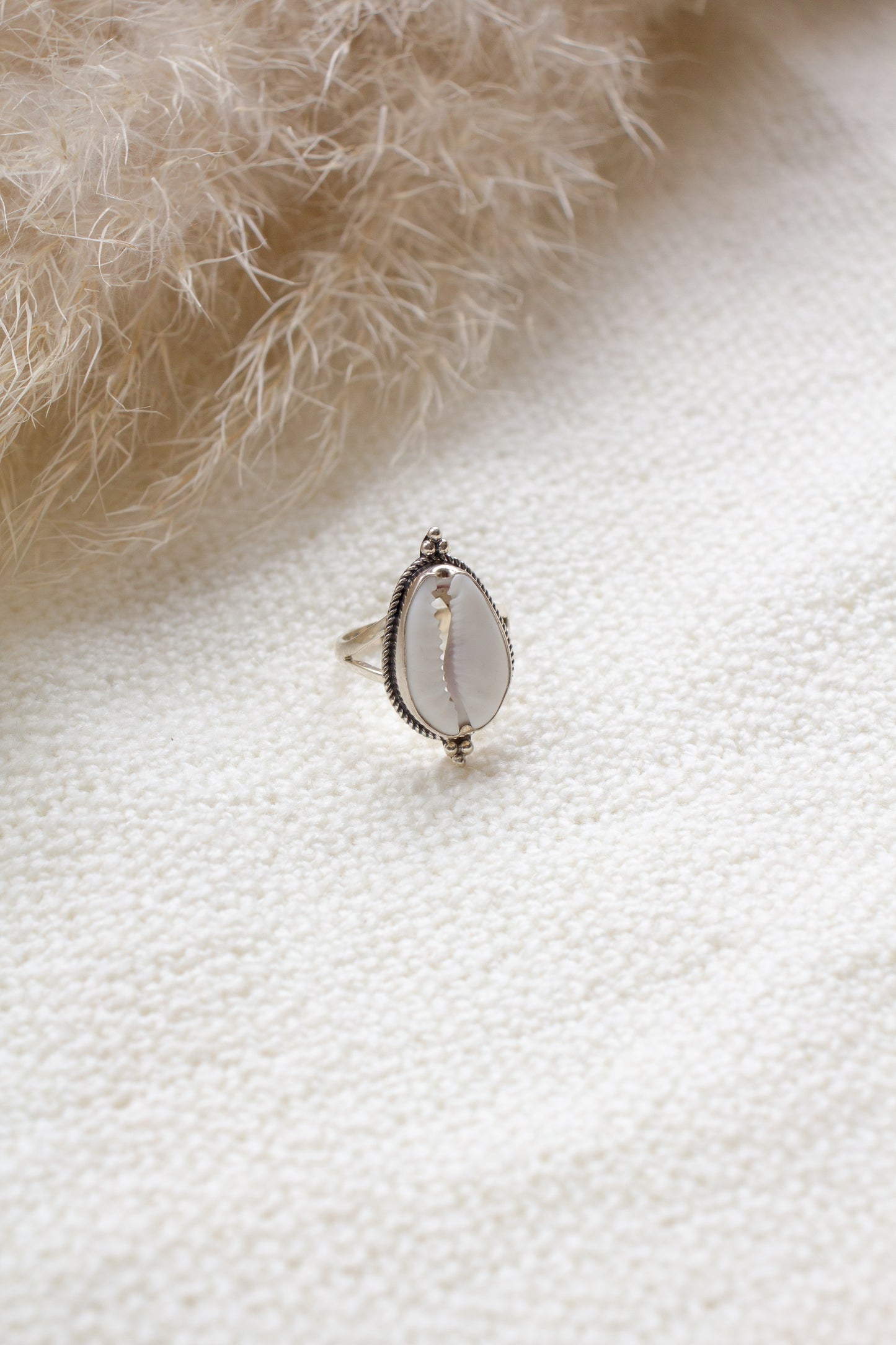 Ring Cowrie Schelp Naya