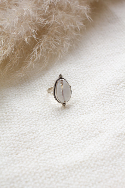 Ring Cowrie Schelp Naya