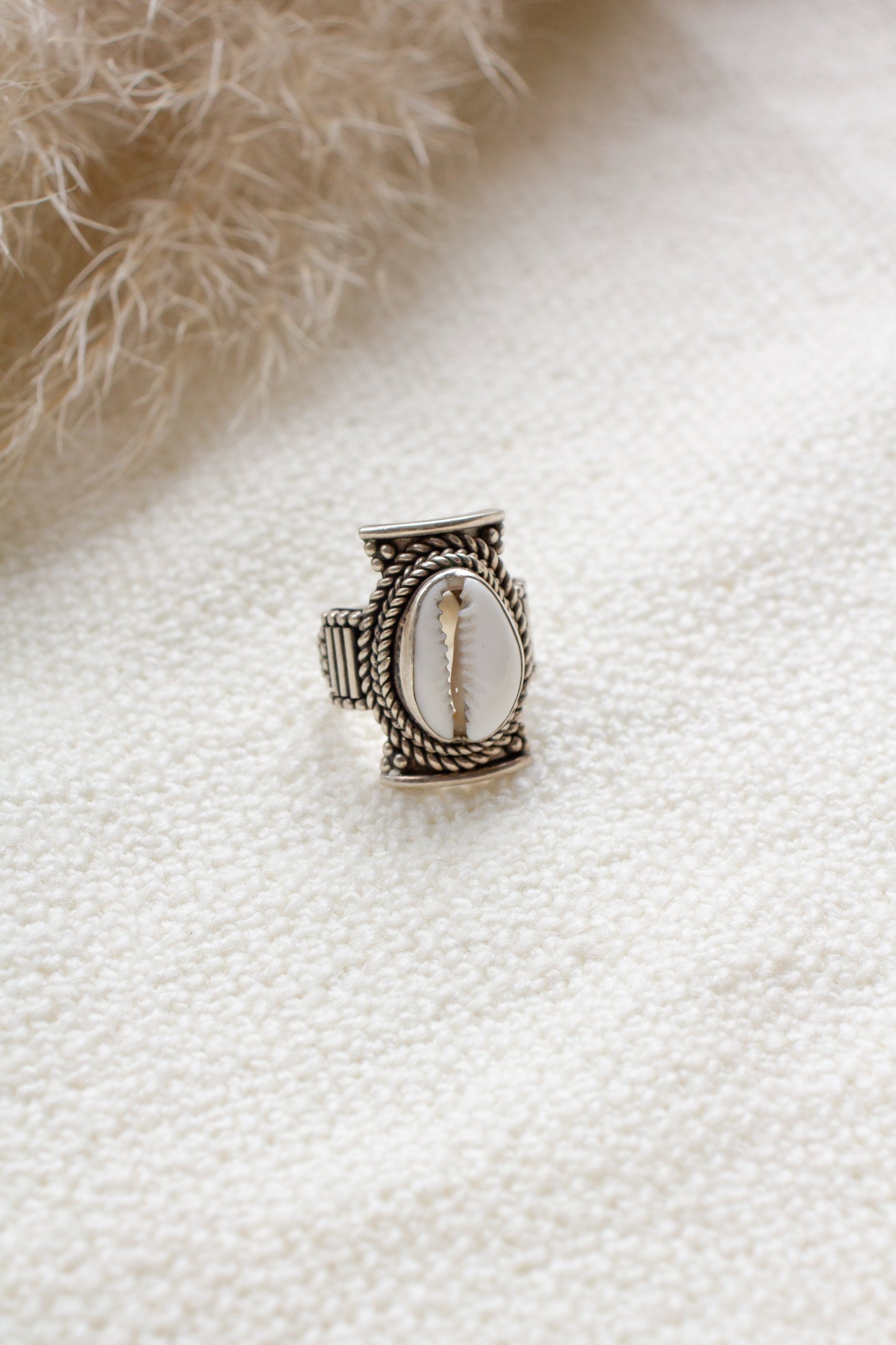 Ring Cowrie Schelp Ziva