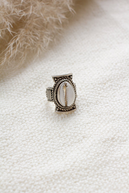 Ring Cowrie Schelp Ziva