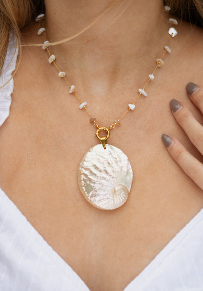 Ketting schelp statement